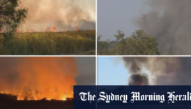 Bushfire comes close to homes in Perth